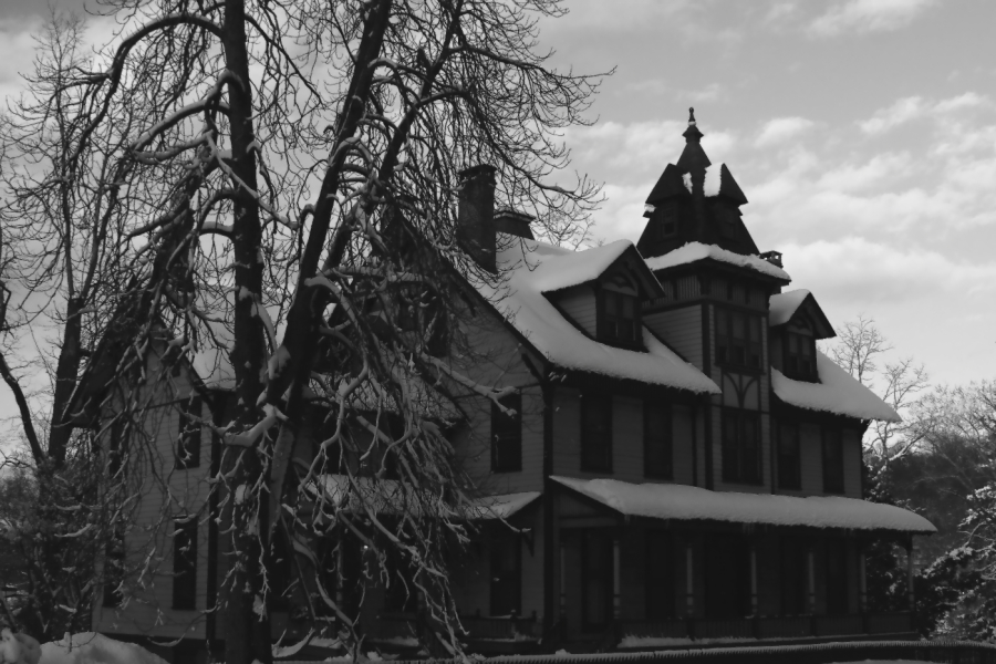 2011 01 27 IMG 19367orbw